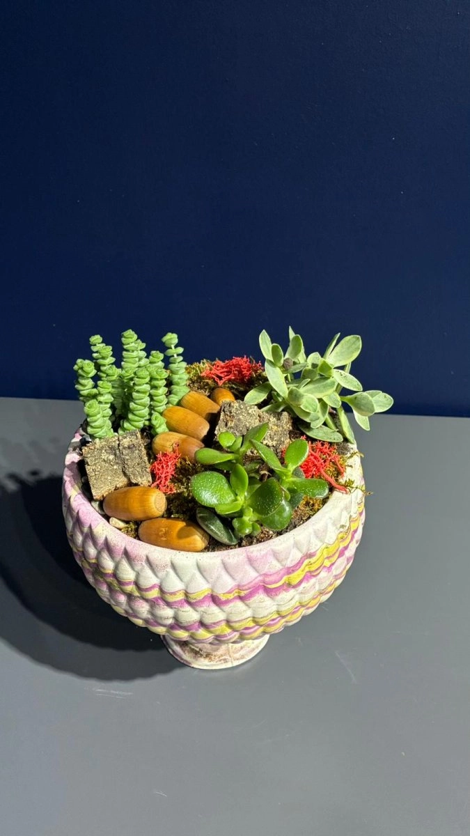 Seramik Saksı İçerisinde Terarrium Aranjmanları 