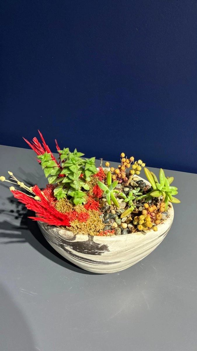 Seramik Saksı İçerisinde Terarrium Aranjmanları 