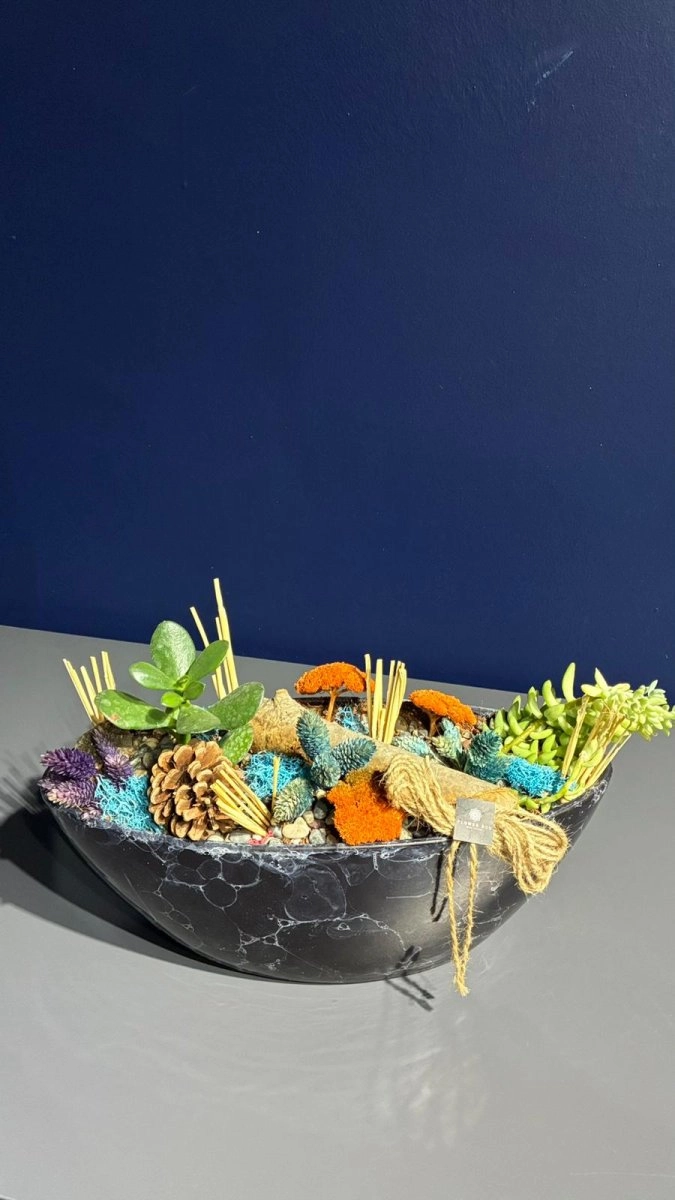 Seramik Saksı İçerisinde Terarrium Aranjmanları 