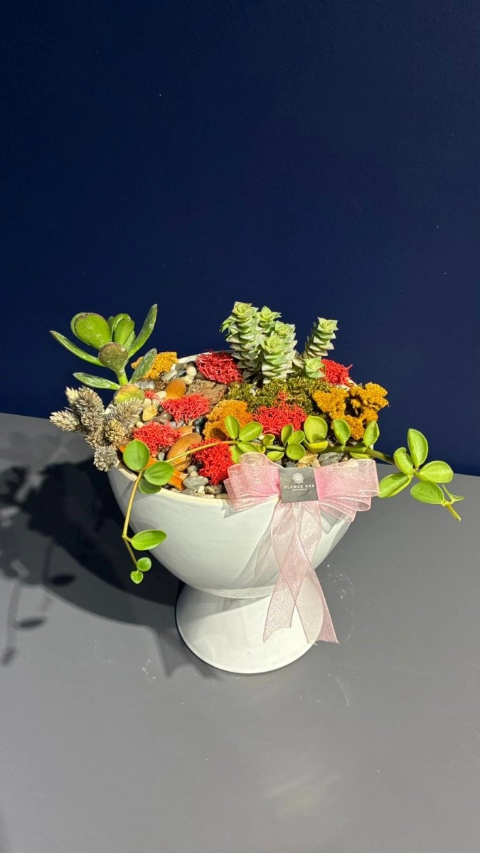 Seramik Saksı İçerisinde Terarrium Aranjmanları 