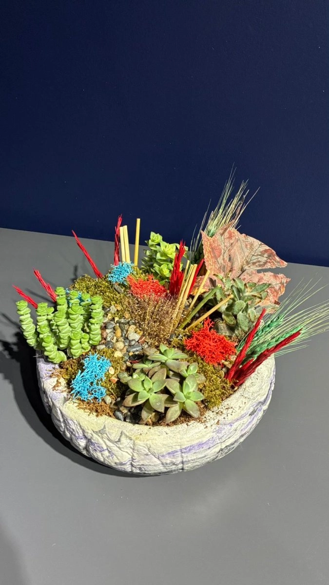 Seramik Saksı İçerisinde Terarrium Aranjmanları 