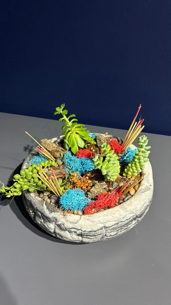 Seramik Saksı İçerisinde Terarrium Aranjmanları 