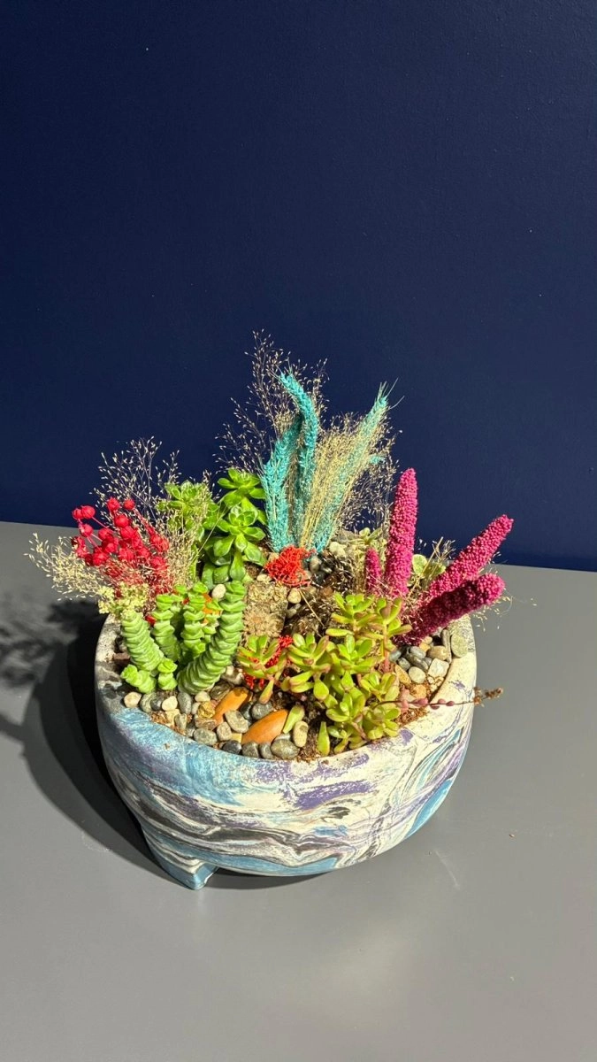 Seramik Saksı İçerisinde Terarrium Aranjmanları 
