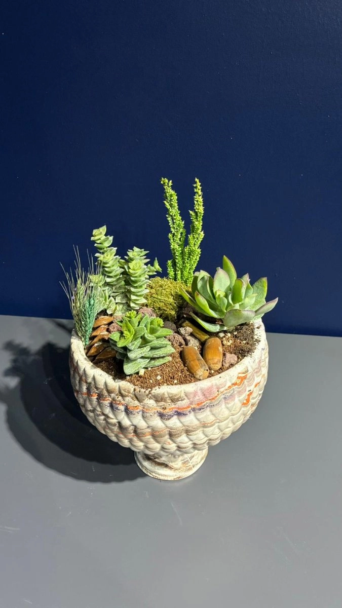 Seramik Saksı İçerisinde Terarrium Aranjmanları 