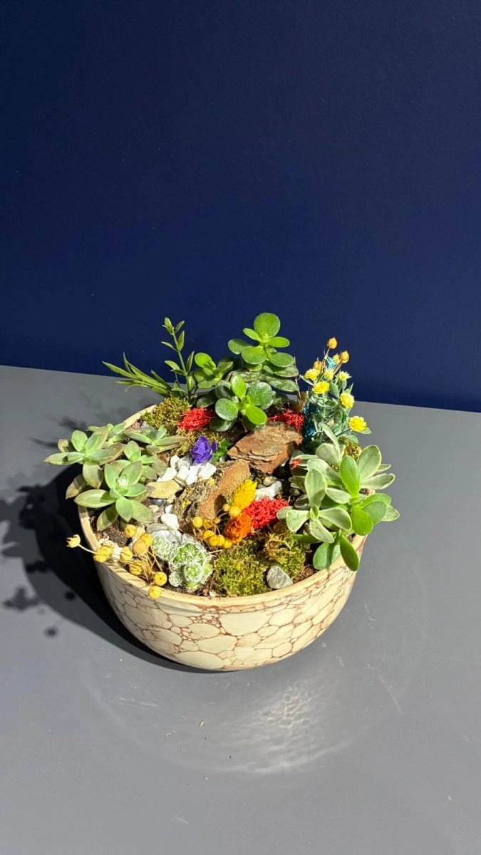 Seramik Saksı İçerisinde Terarrium Aranjmanları 