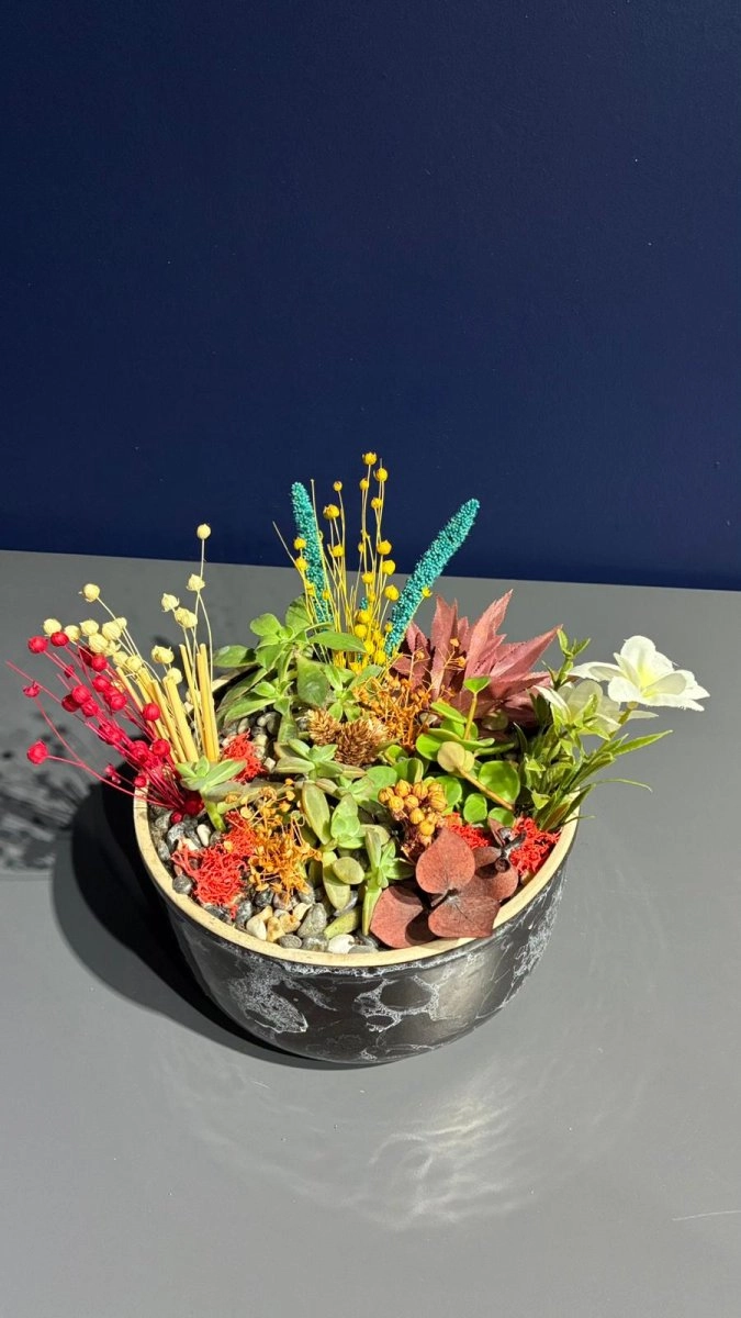 Seramik Saksı İçerisinde Terarrium Aranjmanları 