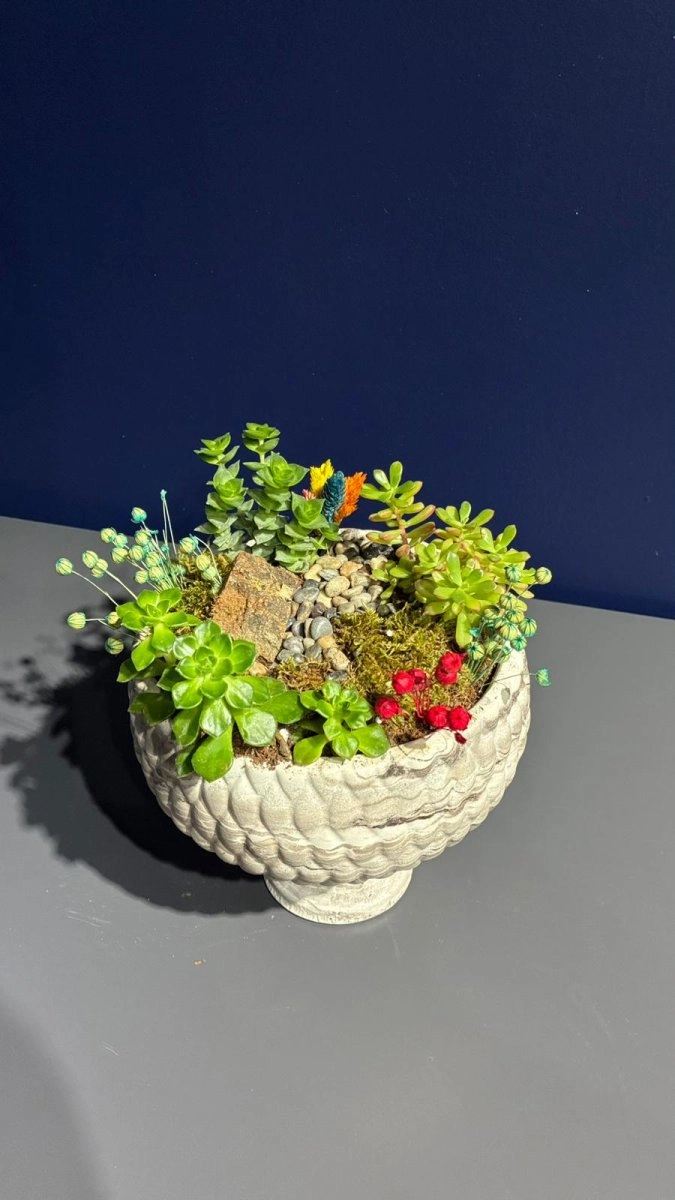 Seramik Saksı İçerisinde Terarrium Aranjmanları 