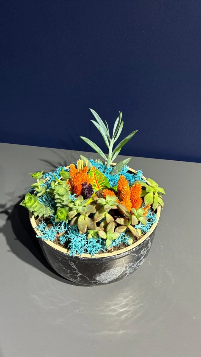 Seramik Saksı İçerisinde Terarrium Aranjmanları 