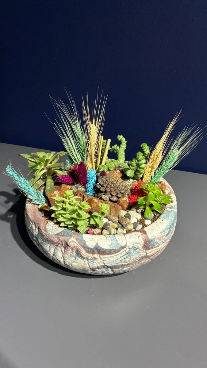Seramik Saksı İçerisinde Terarrium Aranjmanları 