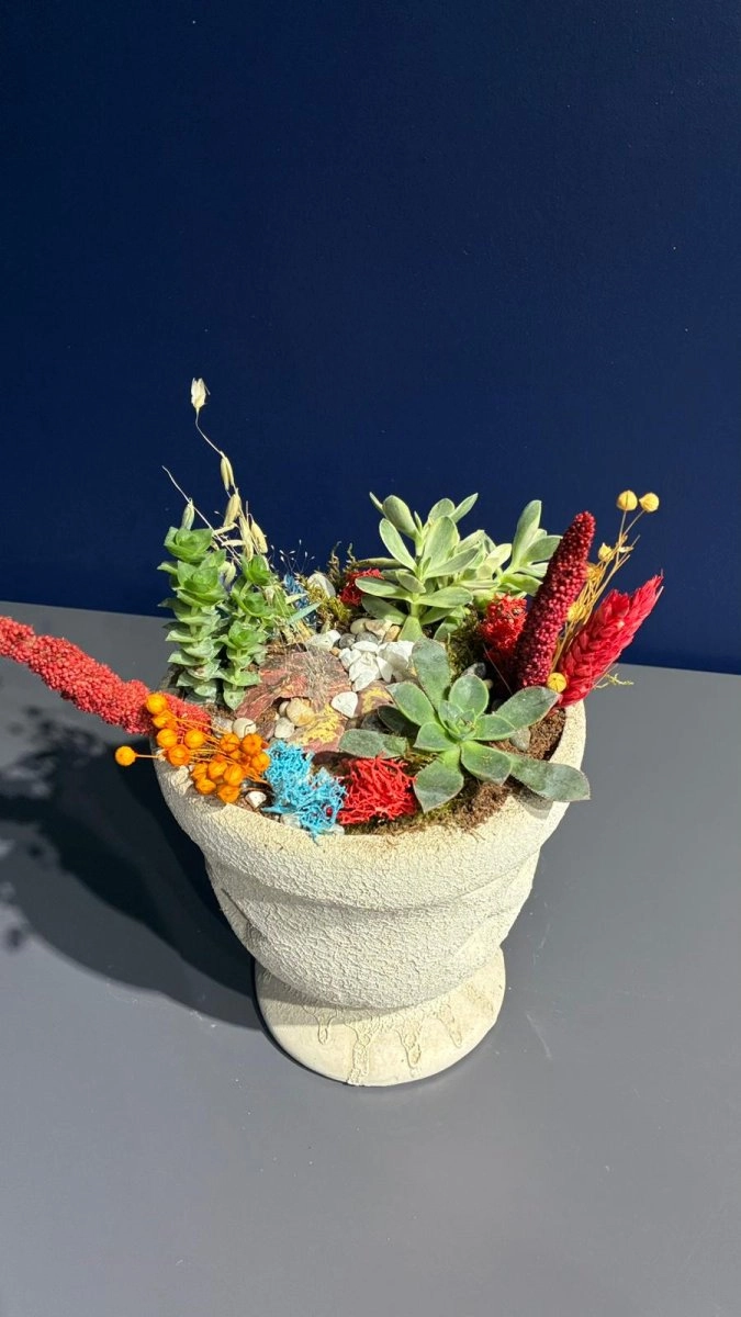 Seramik Saksı İçerisinde Terarrium Aranjmanları 