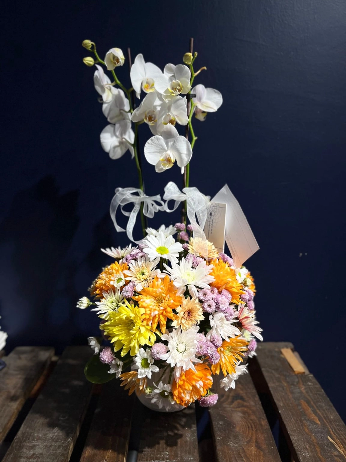 Seramik Saksıda Orkide Aranjman 